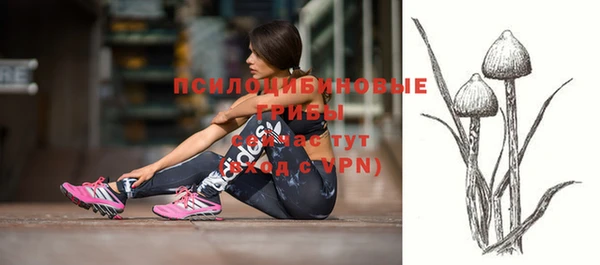 спиды Алзамай