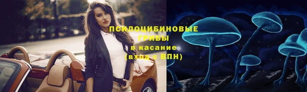 прущий лед Алексеевка