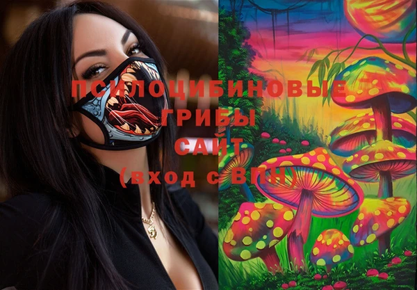 спиды Алзамай