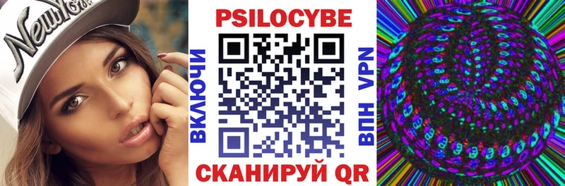 Псилоцибиновые грибы Cubensis Боровск
